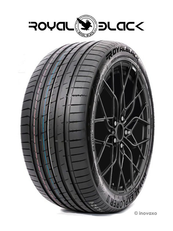 PN RBK 205/55R17 XL 95W ROYAL EXPLO II